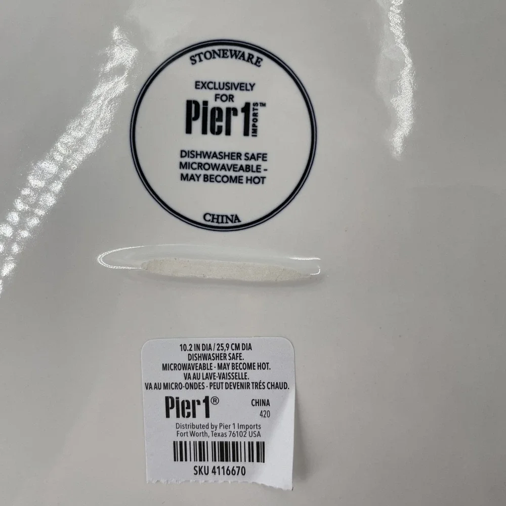NWT Pier 1 Buffalo Harvest Pumpkin Dinner Plates Set Of 2 Black & White 10.5